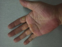 ​对话“跑外卖的大学教授”：人被驯化，平台像“独立王国”