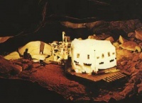 深居地底6个月，他亲手杀死了自己唯一的伙伴