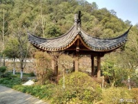 自主研发和产业链使得美国放松芯片管制