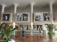 今年威尼斯影展，令人失望