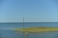 离海最远的地方，把海鲜卖去江浙沪