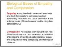 79块钱的共情，真的存在吗？