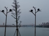 盒马“移山”挽救估值，奇招光鲜何解食安顽疾？