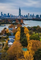 取消限购潮来了