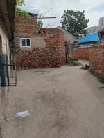 养宠物何时与“奢侈生活”划上了等号？