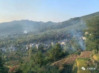 从网红歌手到涉黑被抓，“野马”许艺舟何以脱缰？