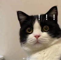 你每天刷手机时间长吗？