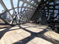 今天华为发布会来了不少人，好像还要来自各地的花粉……