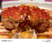 我们是爱这个国家的既得利益者