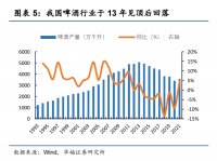 重庆啤酒拟收购“京A”，精酿需要“破圈”