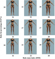 男性没那么偏爱女性的骨感，女性也没那么喜欢男性的肌肉