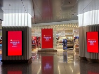 今年出国游，新中产恨不得掏空积蓄