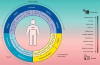 面对人口老龄化，养老不是问题的全部