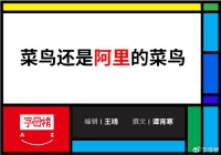 规模与盈利，菜鸟要飞向哪里？