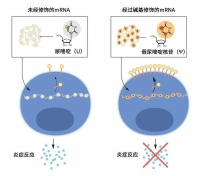 这个诺奖得主曾在肉铺卖香肠，父亲想让她也当屠夫