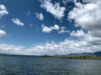 一件衣服卖2.3元是掠夺性定价!印尼禁止直播带货,保护实体经济