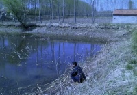 “小镇做题家”，开始返乡