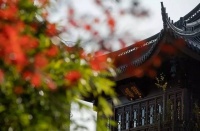 去寺庙过别样人生的北漂，变化到底有多大？