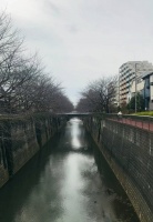 科技之“神”与“人”的退场