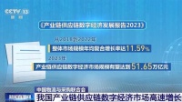 我国产业链供应链数字经济市场增长有多快？这份成绩单很亮眼！