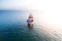 菜鸟、中远海运集运联手！东南亚8日达海运快线开通