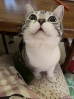 青岛啤酒年内市值蒸发360亿！这可真是令人大吃一惊啊！