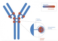 药王的并购分歧：礼来、诺和诺德分道扬镳