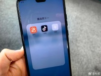 今年双11，抖音快手不想再当配角