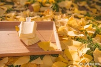 港湾周评|钟薛高“溃败”之谜