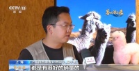“绝处逢生” ！这家新西兰企业因进博会成功开辟中国大市场
