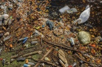 欧盟微塑料禁令落地，“亮晶晶”的美甲卖不了了？