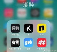 从炒鞋到放贷，百亿美金独角兽又盯上了年轻人