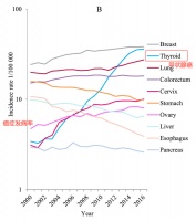 别人带薪休假，我28岁带癌上班