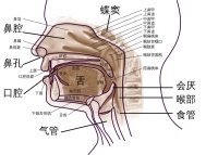 感冒鼻塞高发：你真的了解你的鼻子吗？