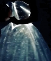 TikTok，悄悄赞助时尚界奥斯卡