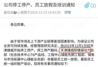 电池大厂停产：动力电池进入第三轮淘汰赛