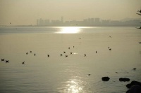 我和我的保洁员母亲