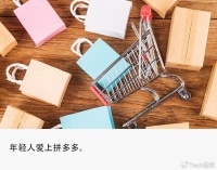 拼多多不止有百亿补贴