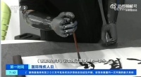 会导航的助盲眼镜、会写毛笔字的仿生手等“黑科技”亮相