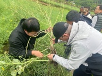 外来入侵物种调查日志