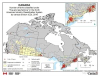 超级猪，入侵美国