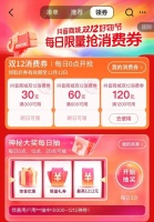 双十二观察：电商消费也要“现实主义”