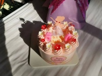 陪在朱令身边这一年