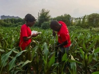 我在中国学农业