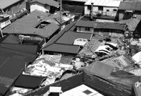 1万韩元即可买下你的悲惨人生