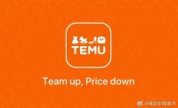 拼多多海外版Temu在美重启对Shein诉讼，称别无选择