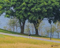 在约会软件找爱情的深圳人：​我一认真，对方就跑了