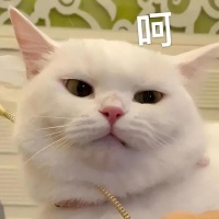 微信越来越臃肿？这款工具，3秒释放10G垃圾缓存