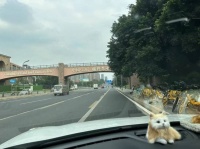 基金小镇的成都梦