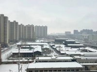 他们来到海南，寻找“第二人生”